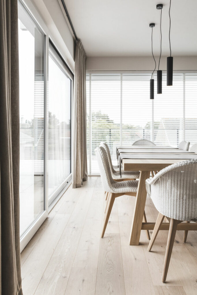 Belgiqa-Domestic-Louis