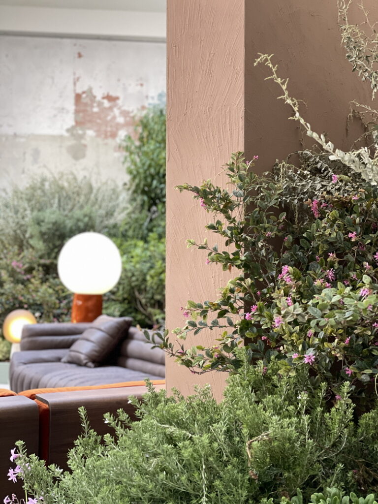 Matteo Brioni's coarse-grained clay finishing wall plaster MultiTerra Smooth for Moollura MOHD showroom in Milan